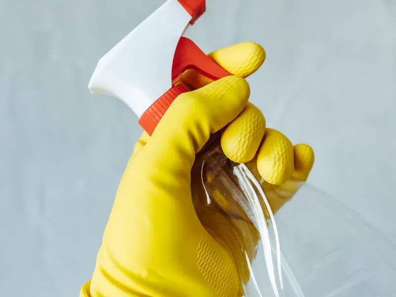 Gloved hand holding a spray bottle used for surface treatment