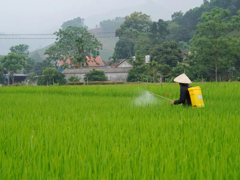 Operator spraying treatment across an outdoor area